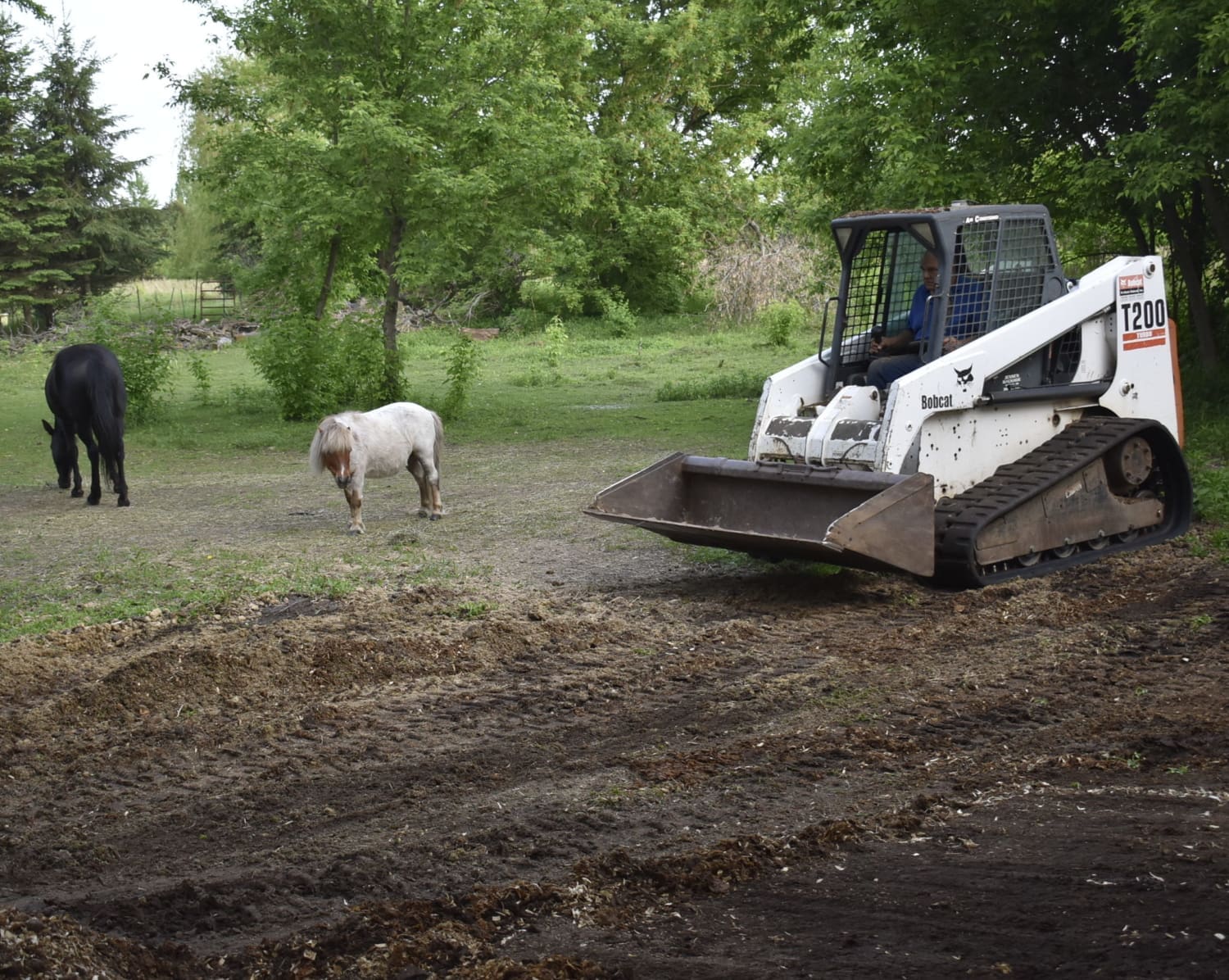 Service Project - Fire Recovery - 7